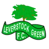 Leverstock Green