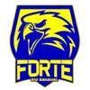 Forte FC