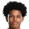 Shola Shoretire