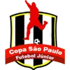 Cúp quốc gia Brazil U20