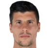 Stipe Perica