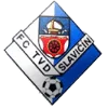 Slavicin