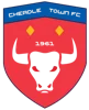 Cheadle Town Stingers (w)