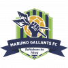 Logo Marumo Gallants FC