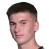 Luka Vrzic