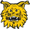 Ilves Tampere