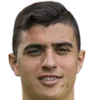 Mahmoud Ali Sayed Elaraby