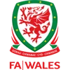 Welsh Football League First Division